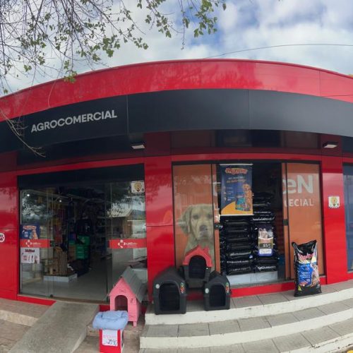 WhatsApp Image 2026-03-17 at 09.00.07 (3)